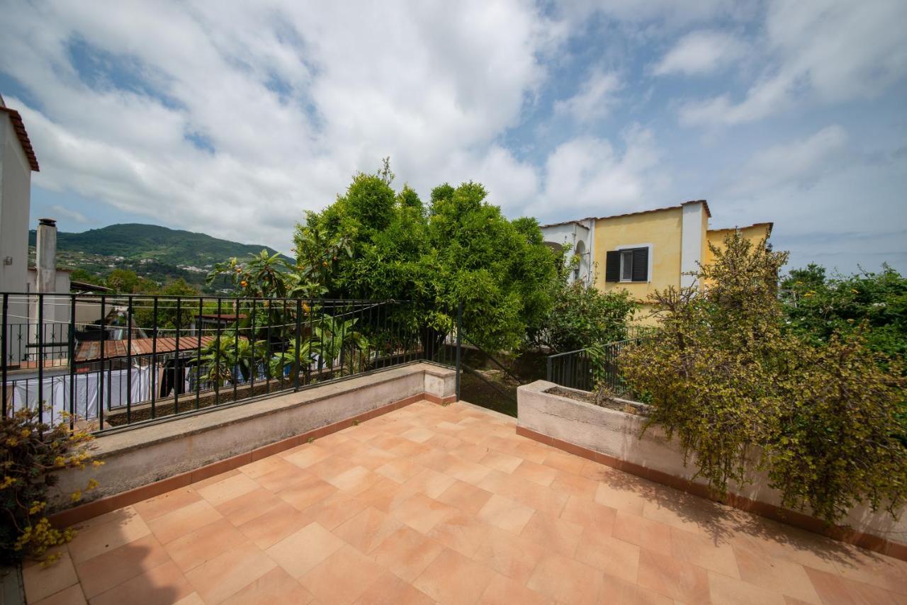 Villa Cataldo-Ischia Villa Ischia